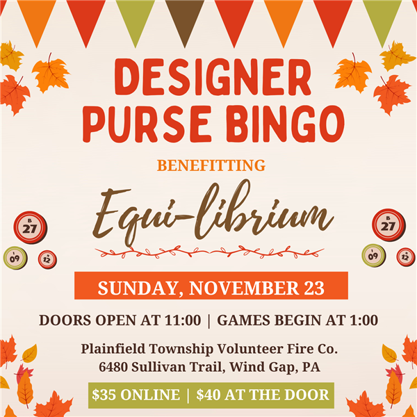 61298db3-234f-4796-9b98-758782471d5d_2025 Bingo Flyer.png