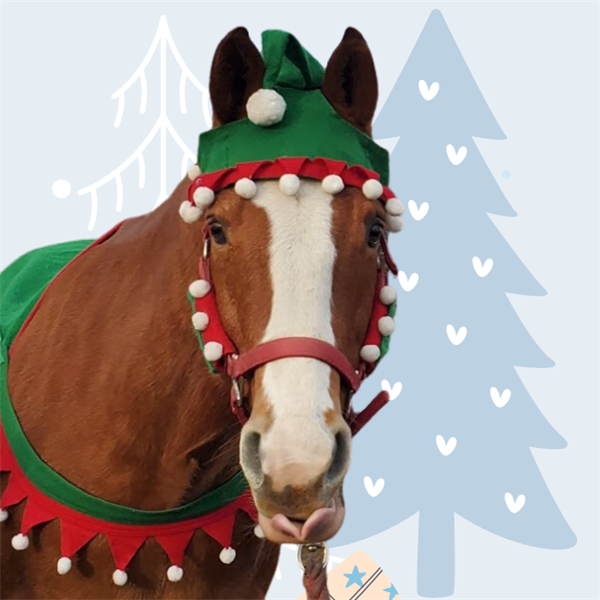 d7673c4e-a50a-4af3-9c94-af32930a5251_Blue Illustrative Christmas Event Invitation (1).png